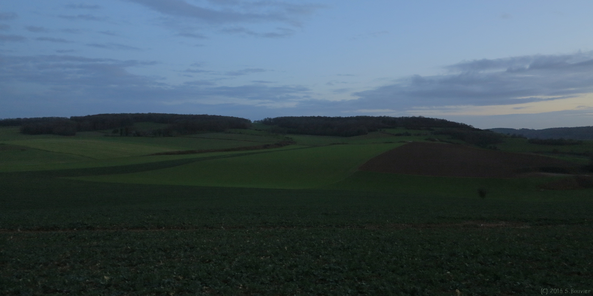 Saint Vaast d'Equiquevillle (Champs Dubost)