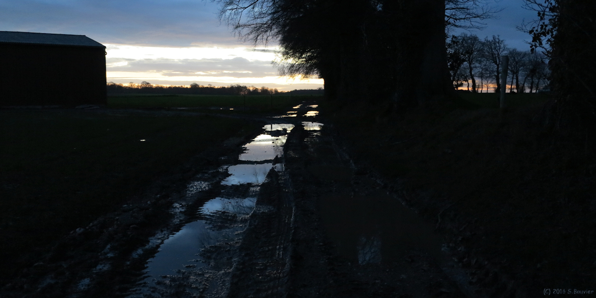 Saint Jacques d'Aliermont (Chemin, Nuit)