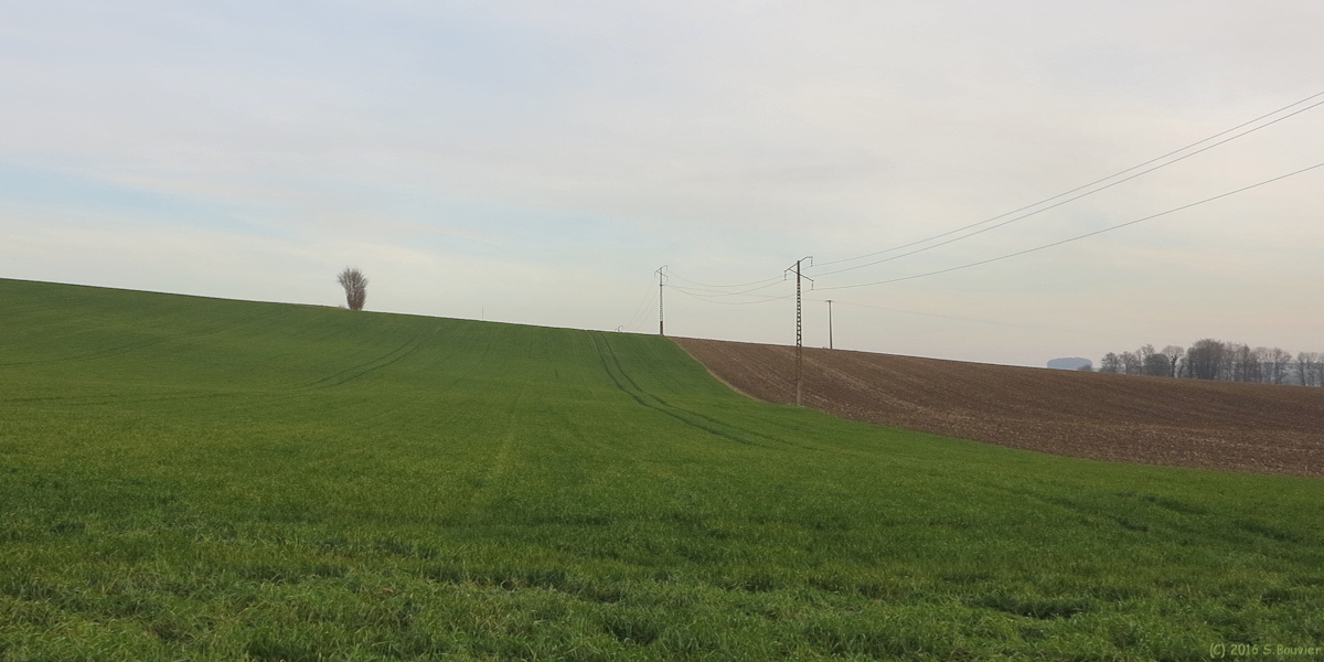 Saint Vaast d'Equiqueville (Champs)
