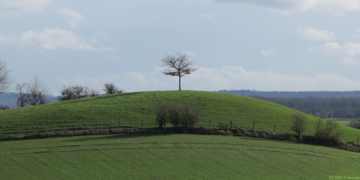 Freulleville (Mont)