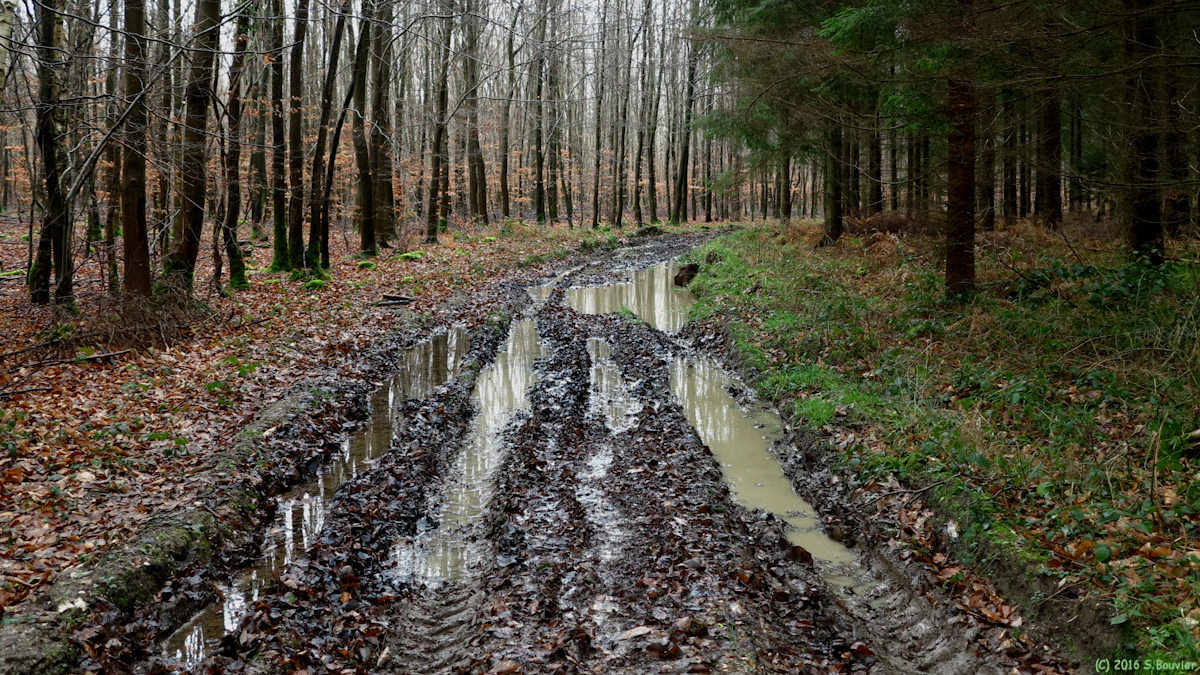 Massif de Pimont (Chemin 1)