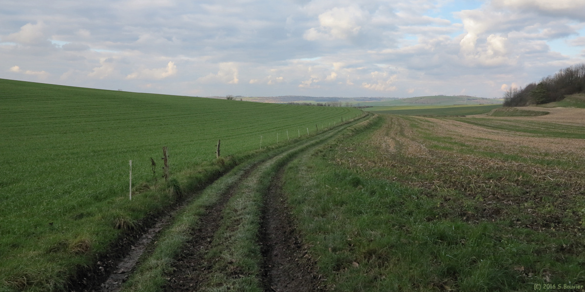 Baillolet (Chemin)