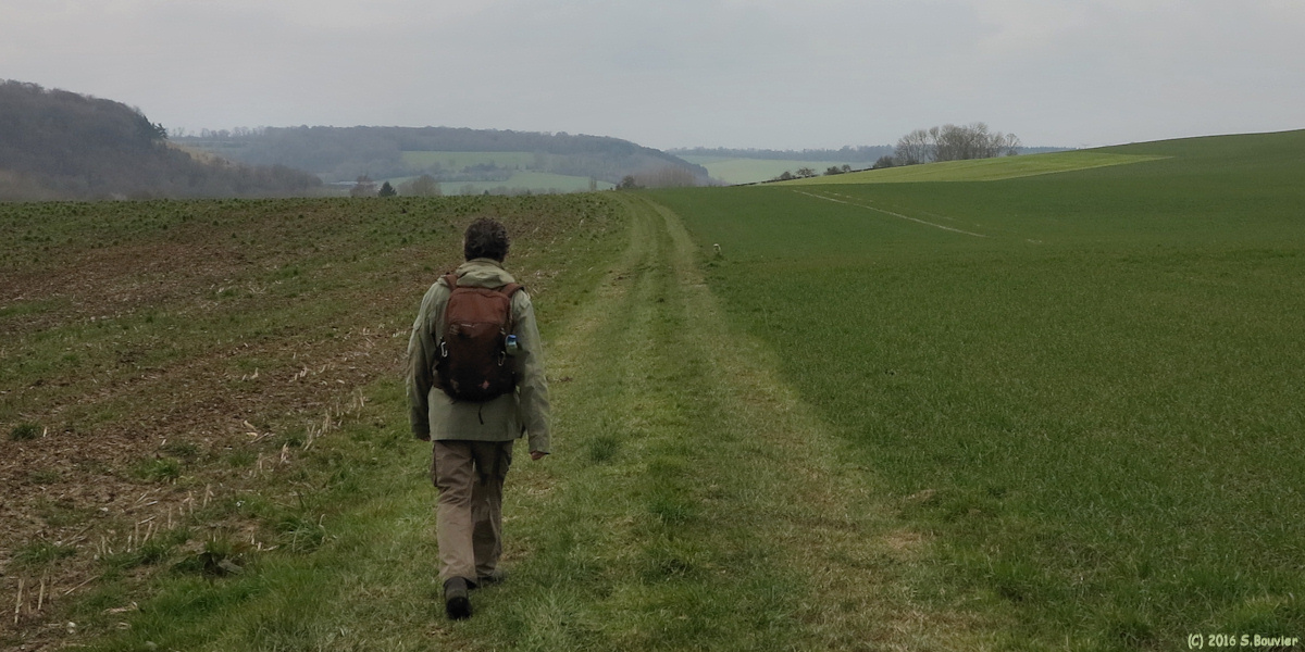 Sigy en Bray (Chemin 2)