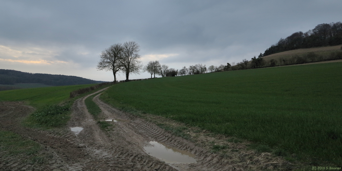 Le Mesnil Lieubray (Chemin 2)