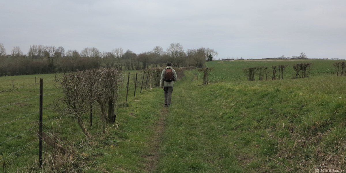 Fontenay Torcy (Chemin)