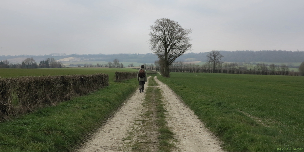 Brémontier Merval (Chemin 1)