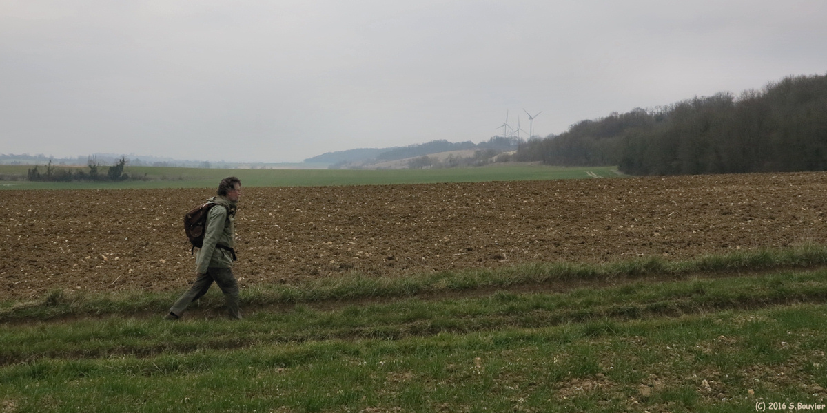 Brémontier Merval (Chemin 2)
