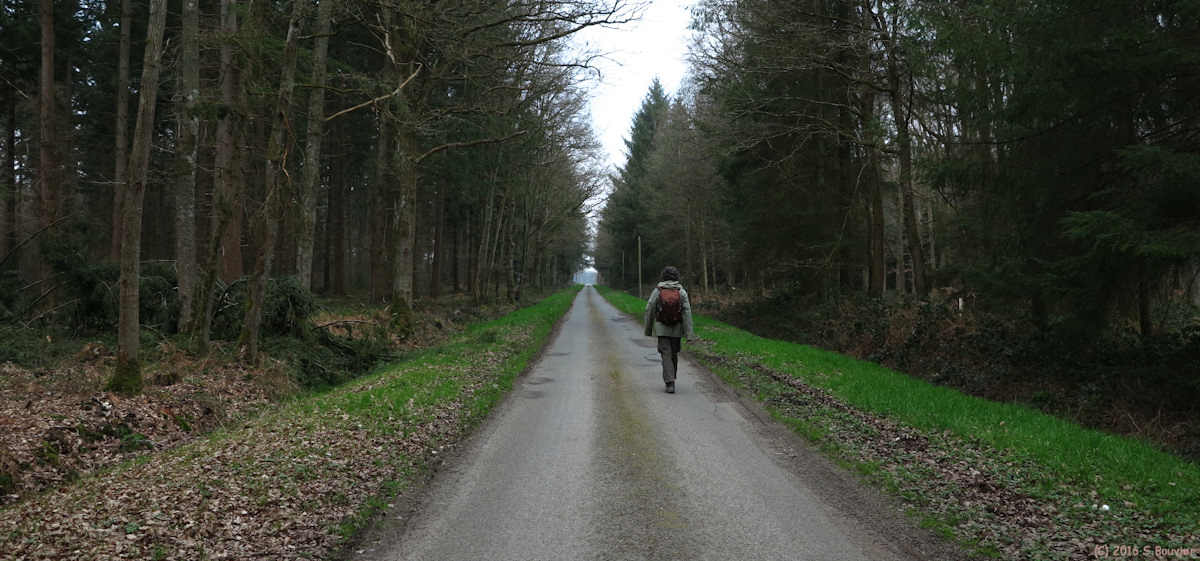 Brémontier Merval (Route)