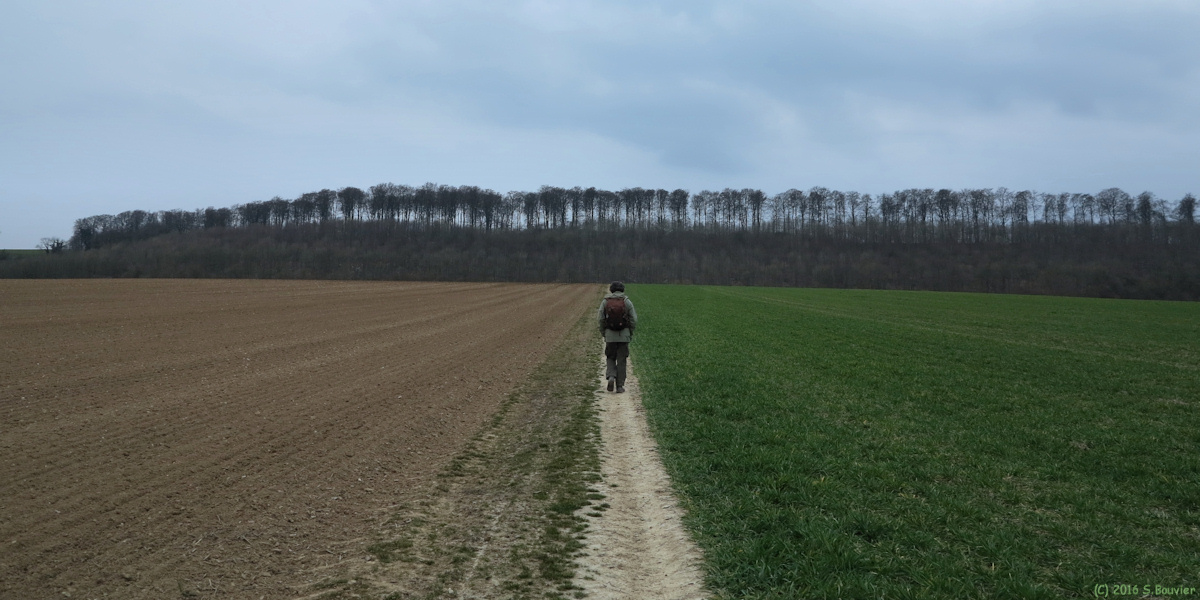 Brémontier Merval (Chemin 3)