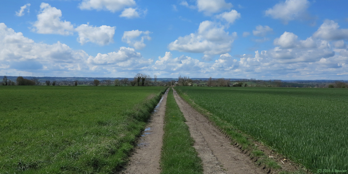 Molagnies (Chemin)