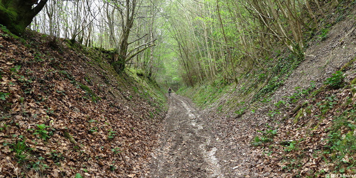 Saint Pierre es Champs (Chemin 2)