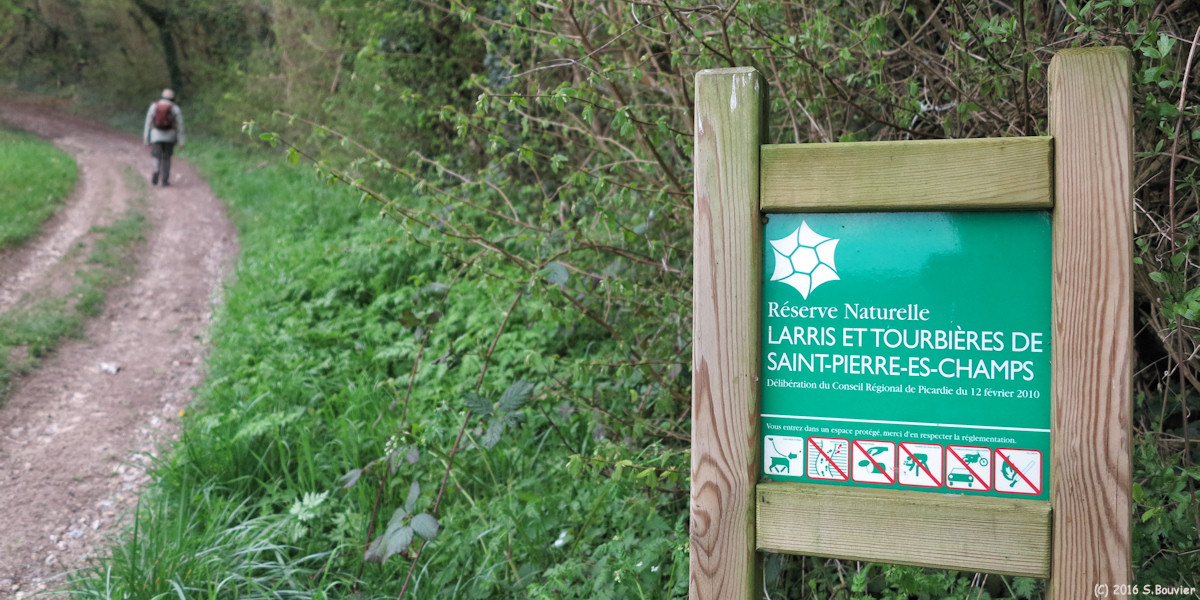 Saint Pierre es Champs (Panneau)