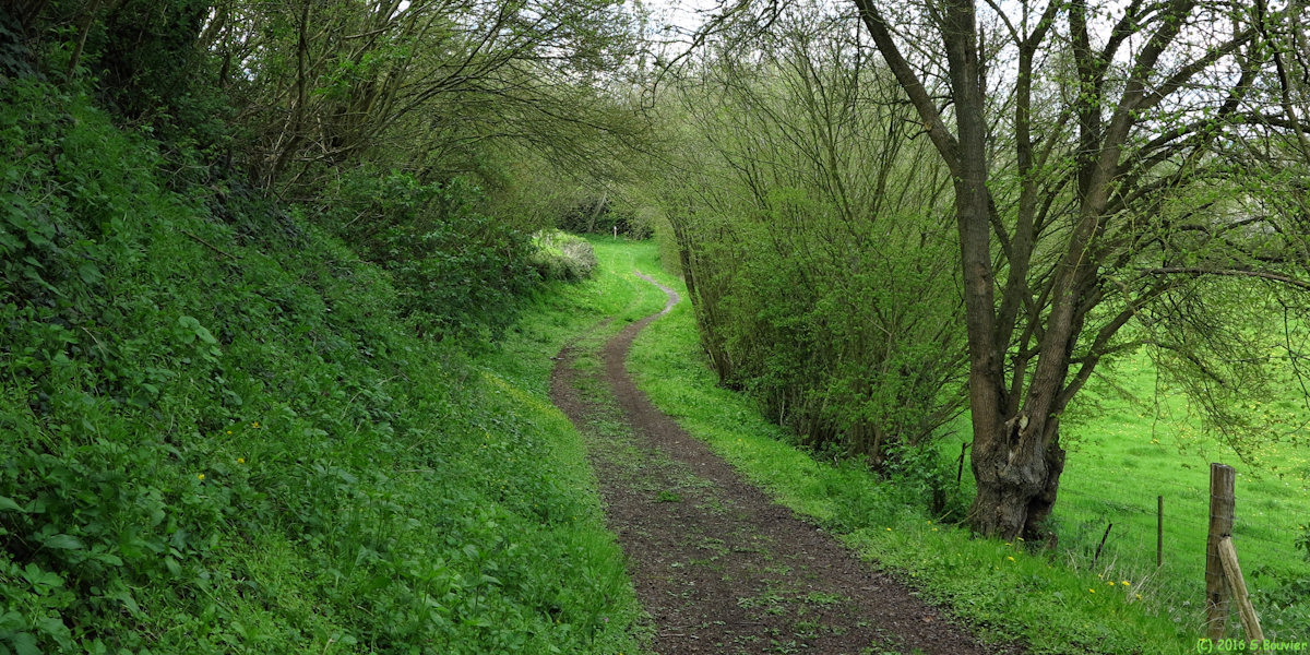 Gournay en Bray (Chemin)