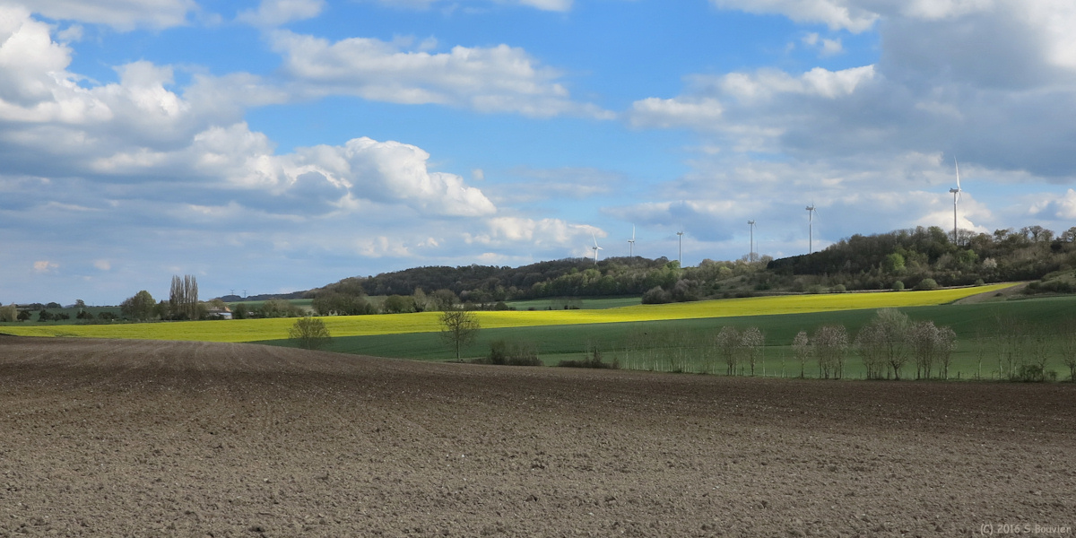 Elbeuf en Bray (Eoliennes)
