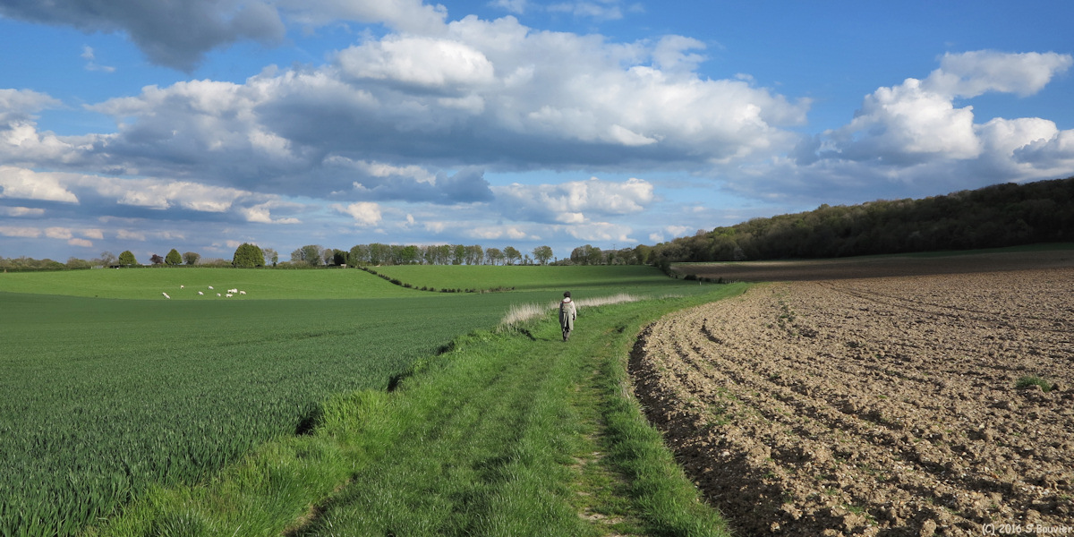 Avesnes en Bray (Chemin)