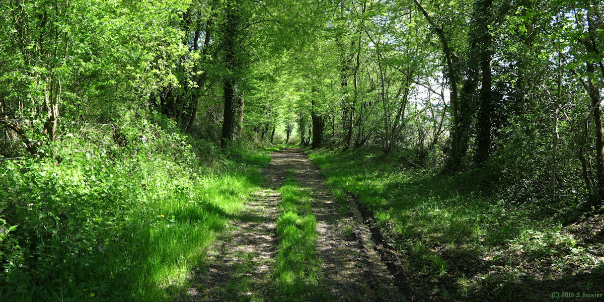 Saint Germer de Fly (Chemin 1)