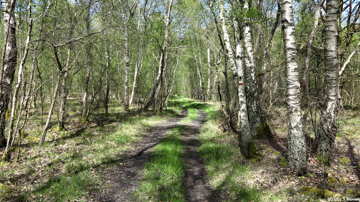 Blacourt (Chemin 1)