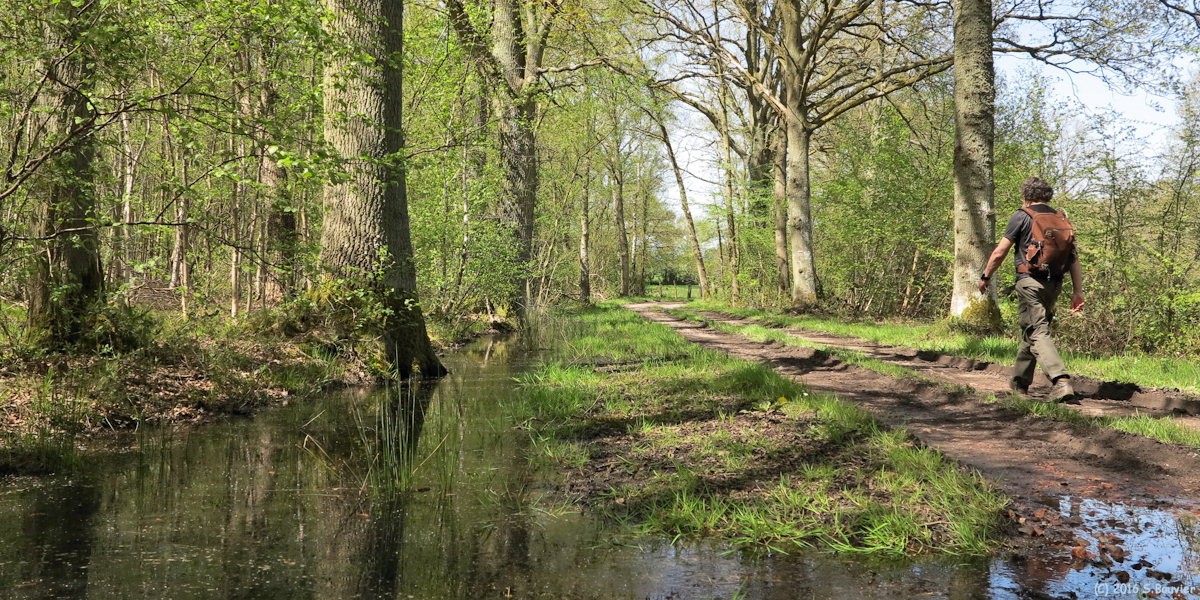 Blacourt (Chemin 2)