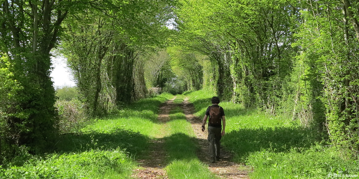 Senantes (Chemin 1)