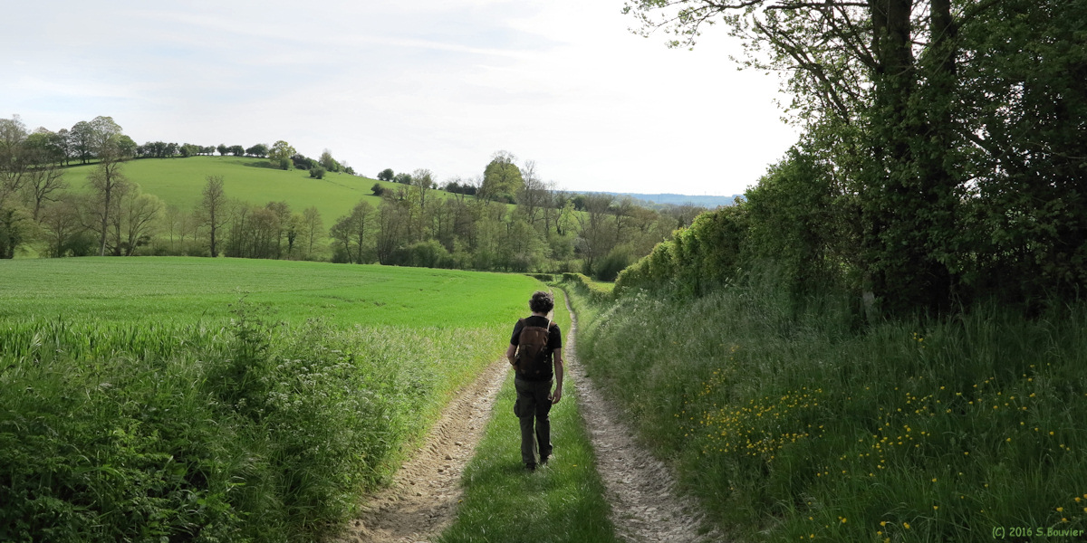 Ferrières en Bray (Chemin)