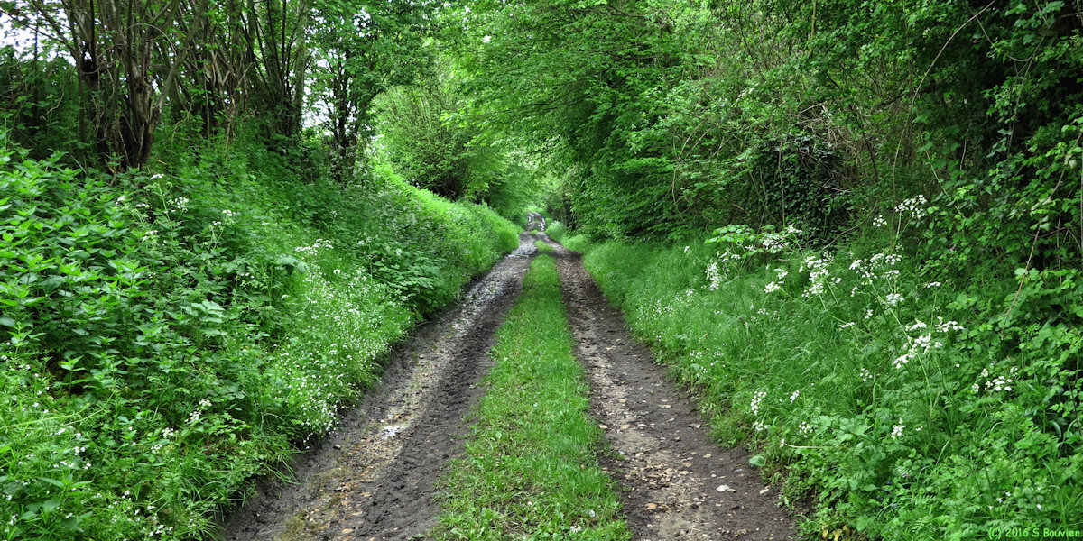 Villers sur Auchy (Chemin)