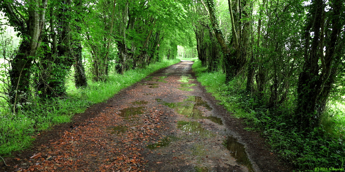 Blacourt (Chemin 1)