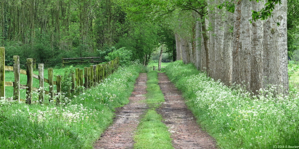 Blacourt (Chemin 3)