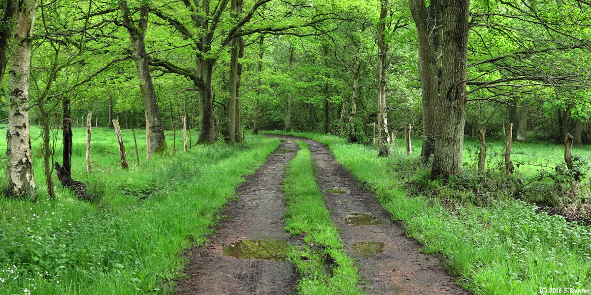 Blacourt (Chemin 4)