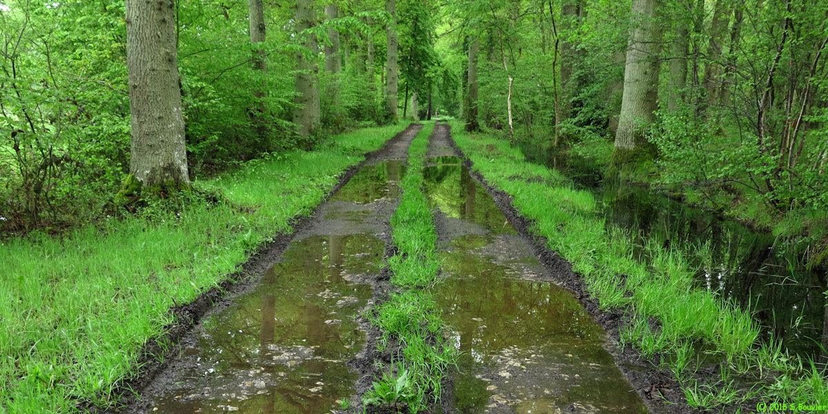 Blacourt (Chemin 5)