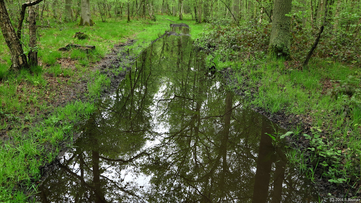 Blacourt (Chemin 6)