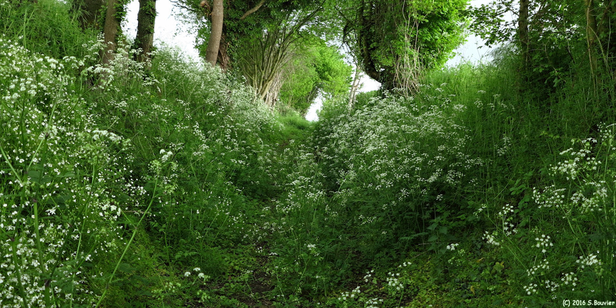 Blacourt (Chemin 7)