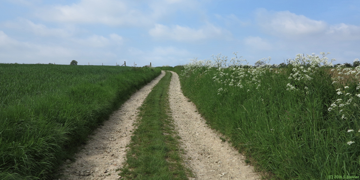 Sully (Chemin)