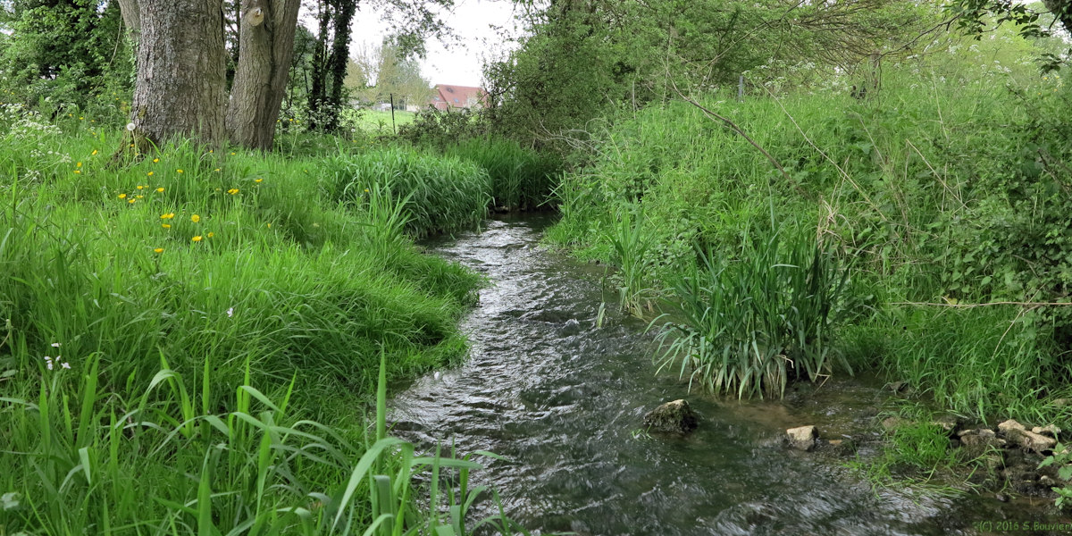 Saint Quentin des Prés (Ruisseau)