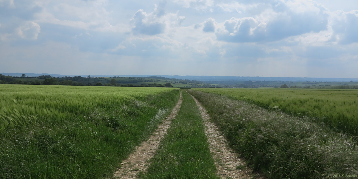 Hécourt (Chemin)
