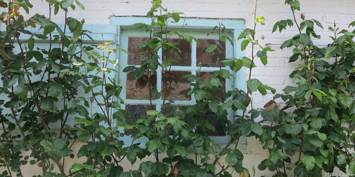 Gerberoy (Rosiers 2)