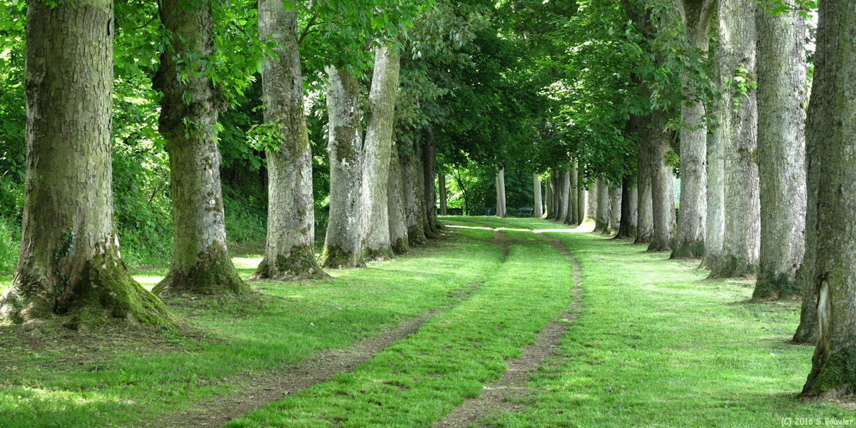 Gerberoy (Boulevard)
