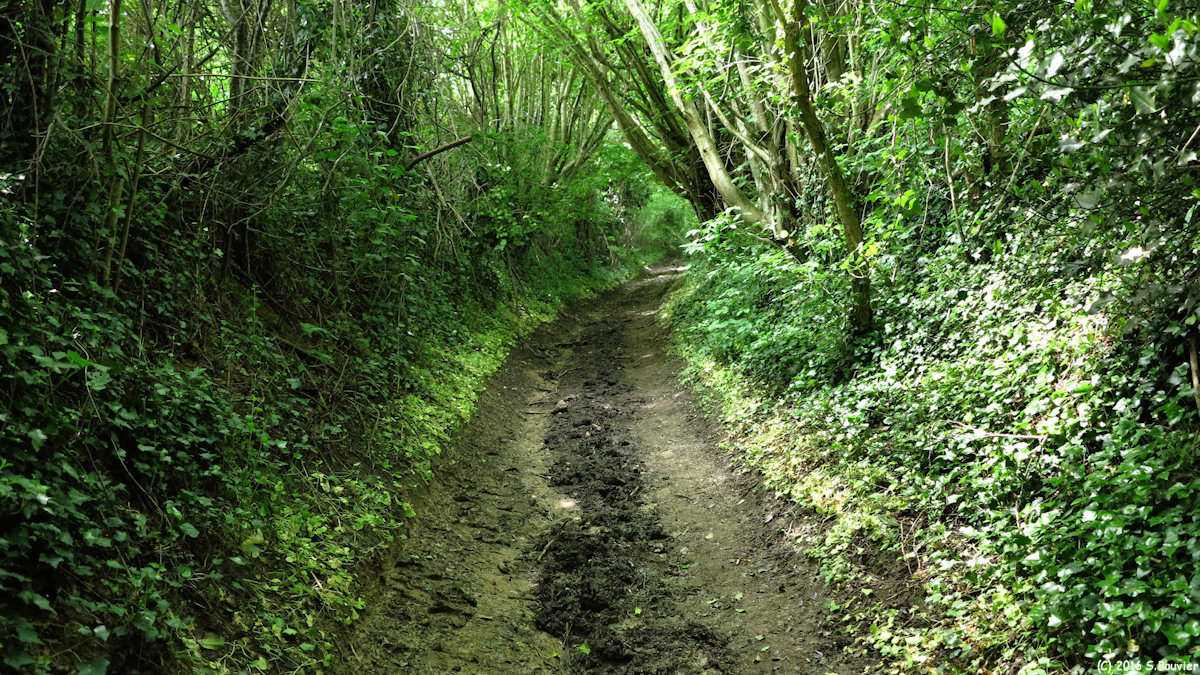 Gerberoy (Chemin)