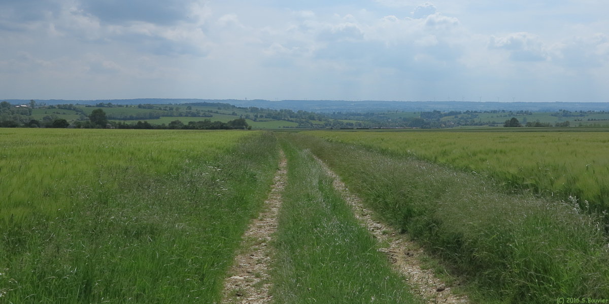 Hécourt (Chemin)