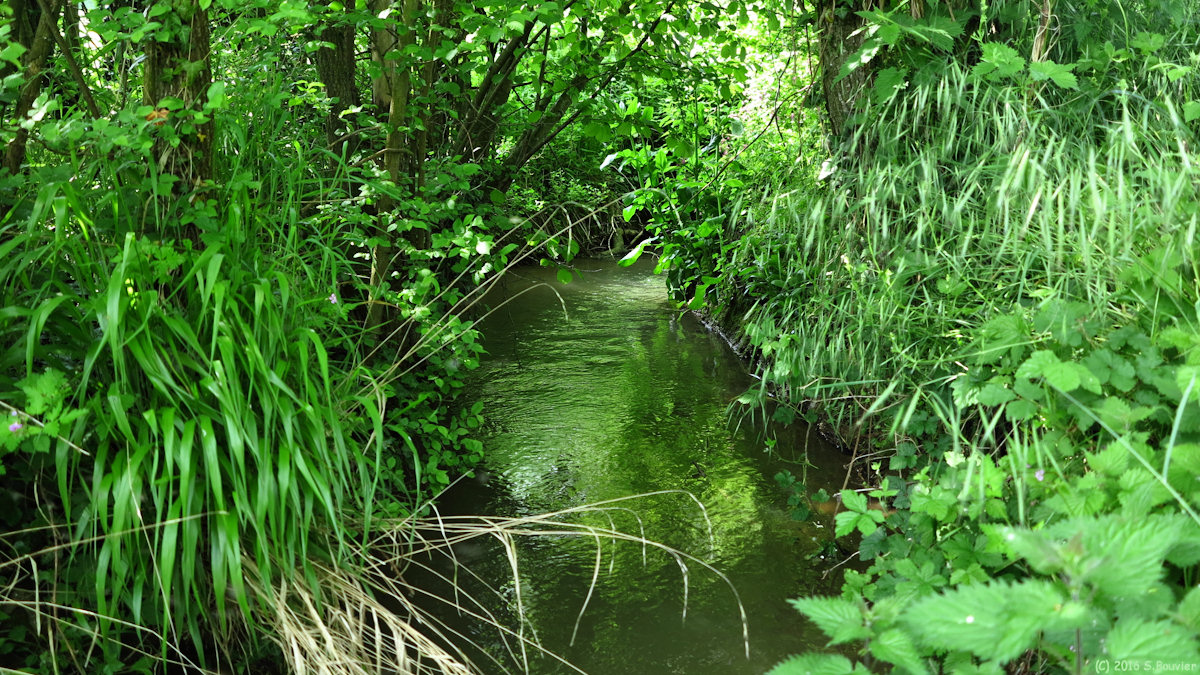 Ferrières en Bray (Ruisseau)