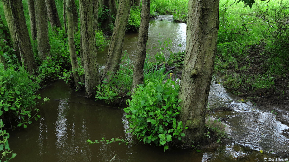 Lachapelle aux Pots (Ruisseau)