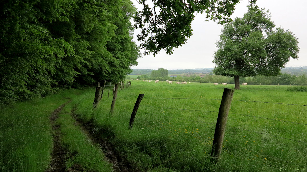 Lachapelle aux Pots (Chemin)