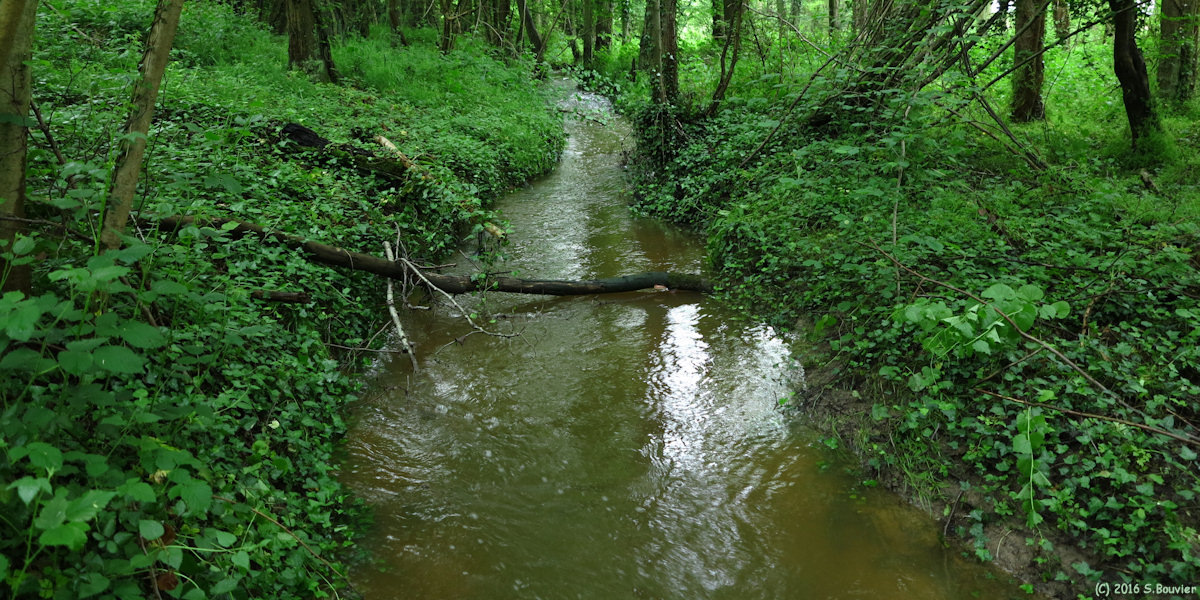 Saint Paul (Ruisseau)