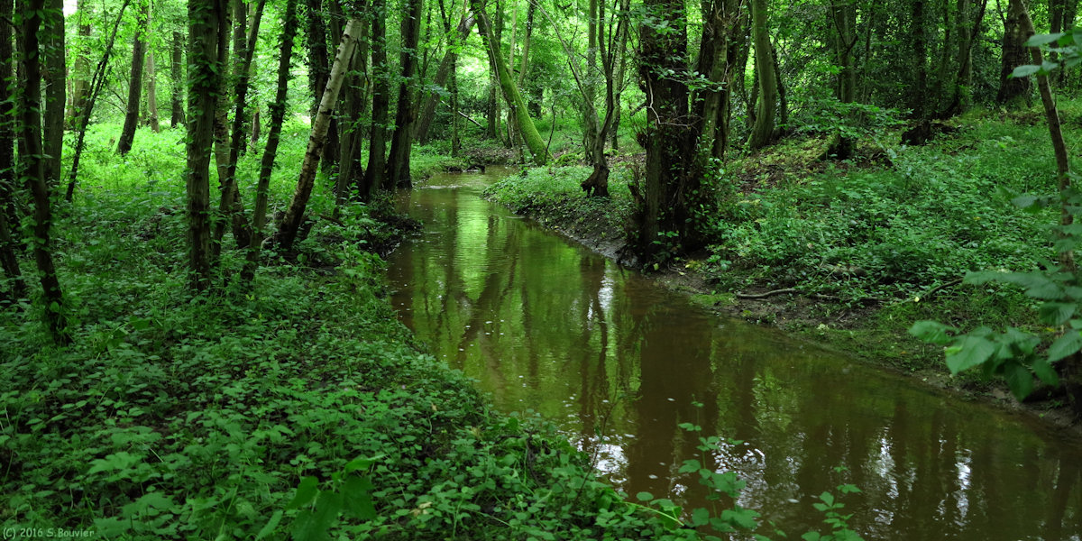 Ons en Bray (Ruisseau)