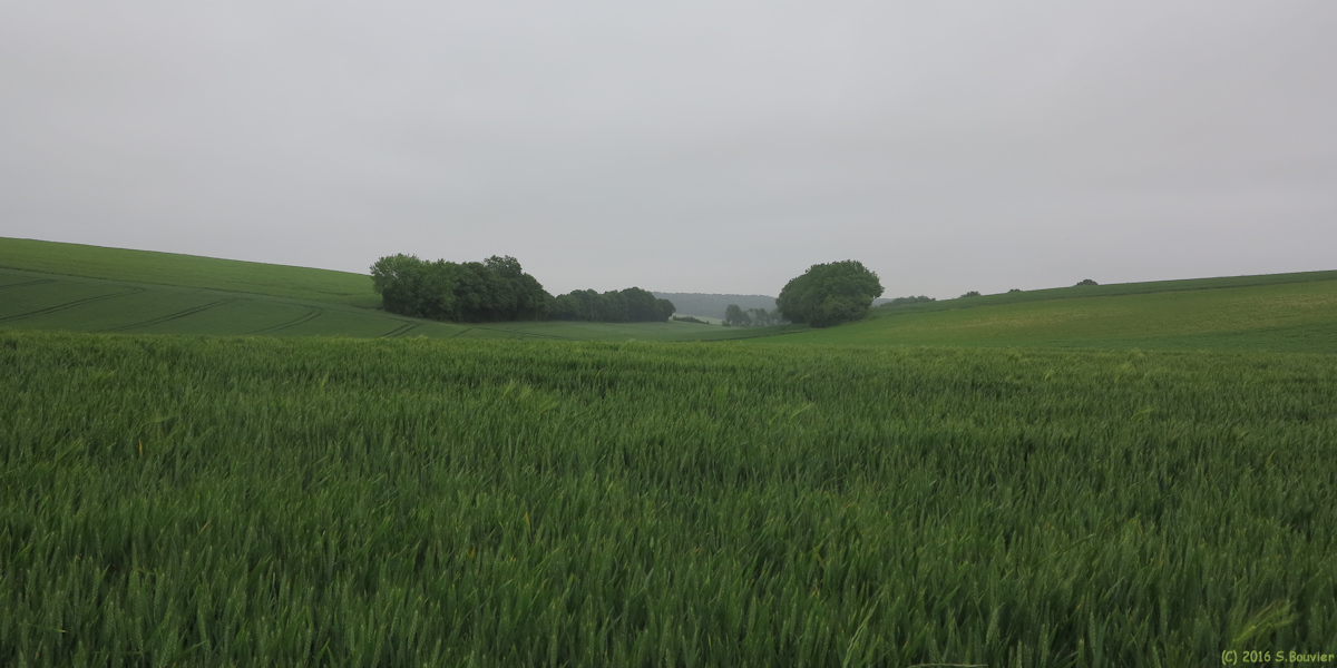Le Mont Saint Adrien (Plaines)