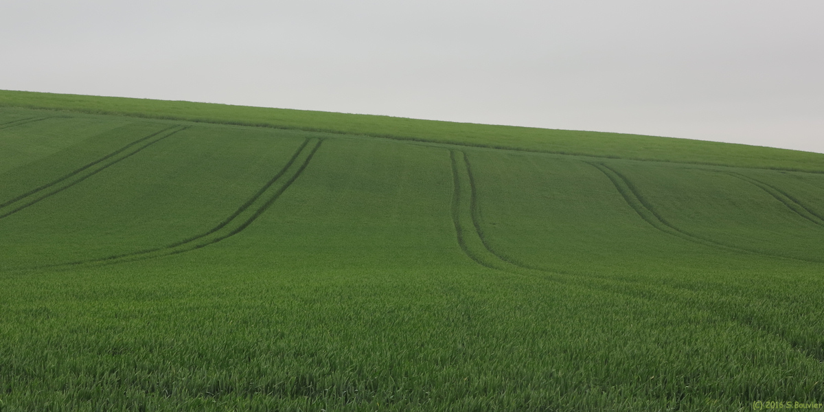 Savignies (Plaine)