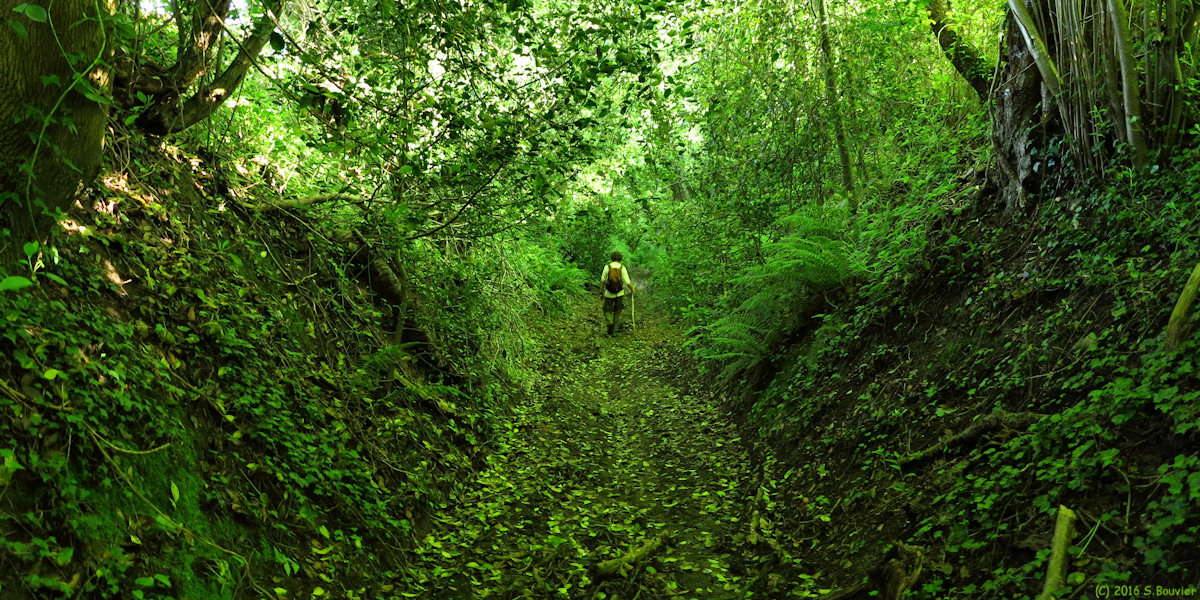 Blacourt (Chemin)