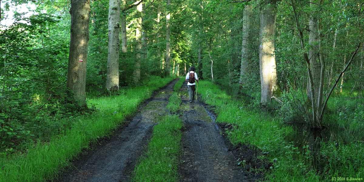 Blacourt (Chemin 1)
