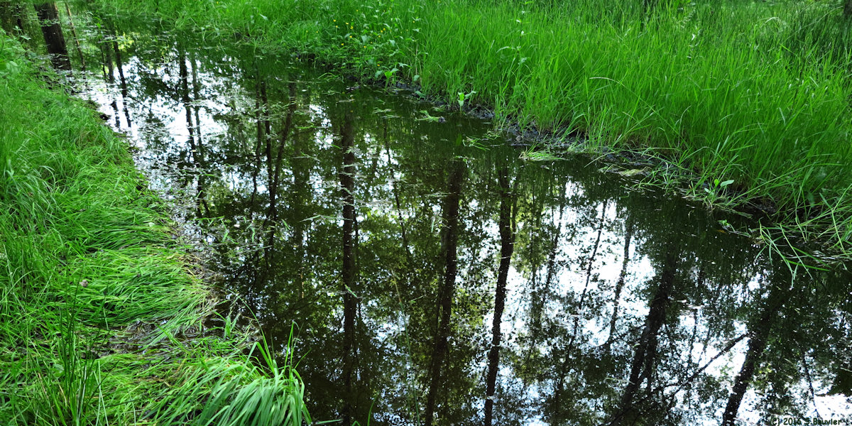 Blacourt (Chemin 3)