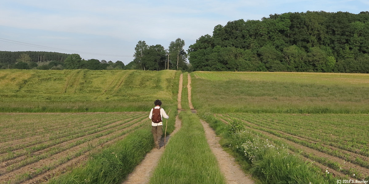 Cuigy en Bray (Chemin)