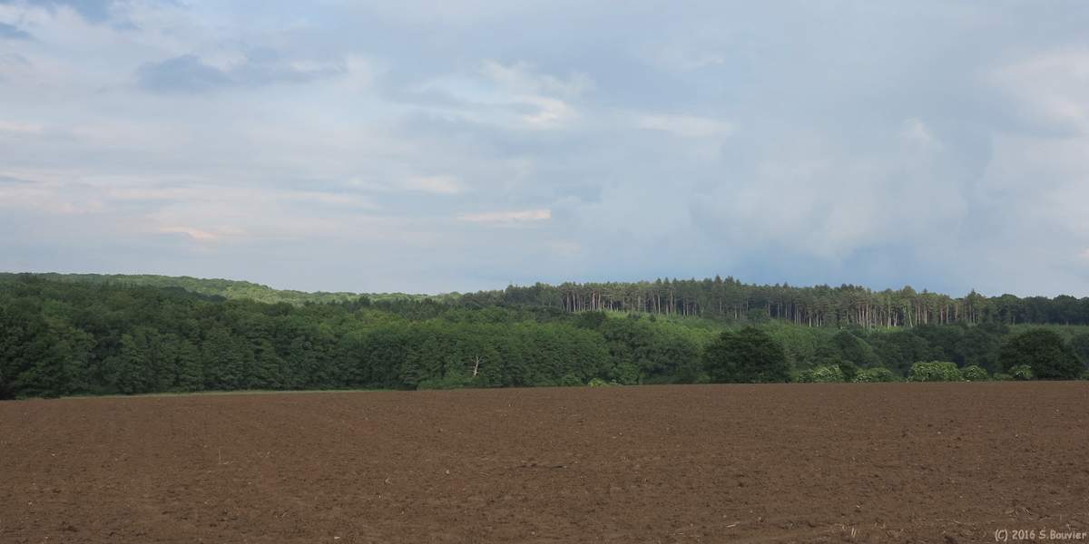 Lachapelle aux Pots (Bois)